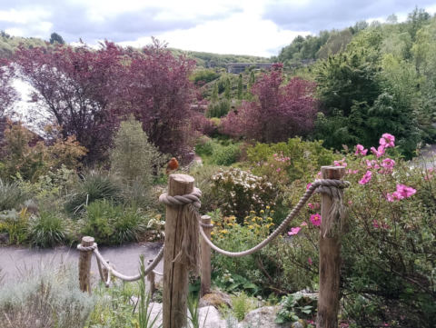 Eden Project