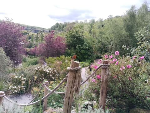 Eden Project