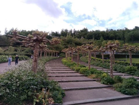 Eden Project