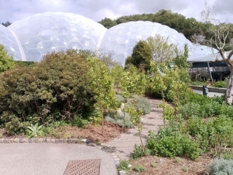 Eden Project
