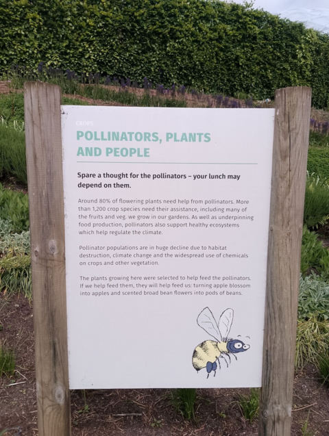 Eden Project