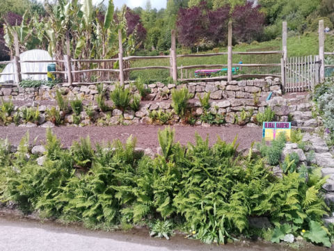 Eden Project