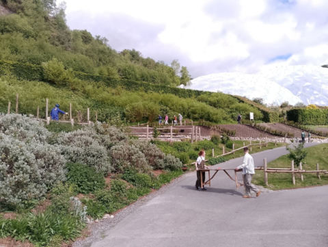 Eden Project