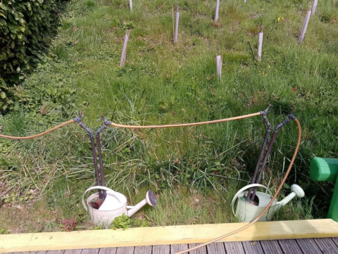 Eden Project