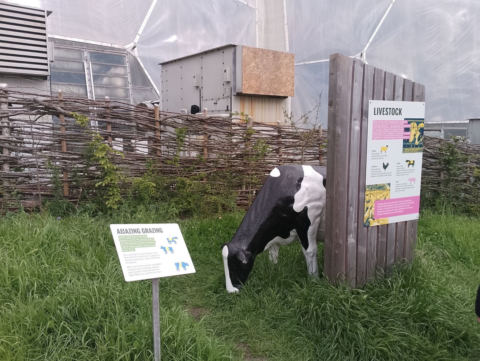 Eden Project