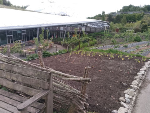 Eden Project