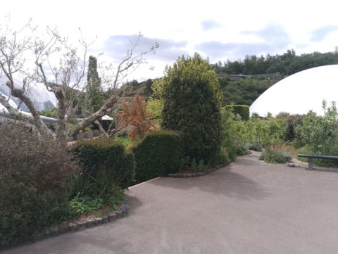 Eden Project