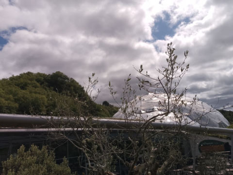 Eden Project