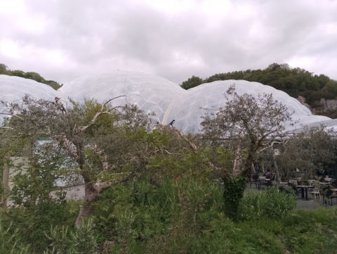 Eden Project