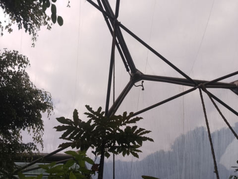 Eden Project