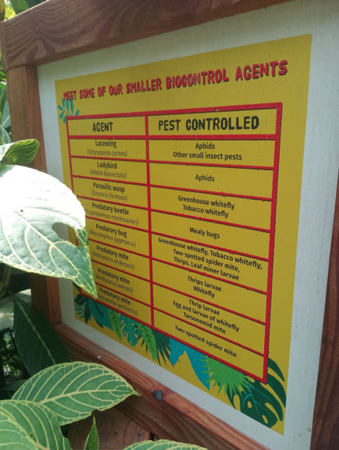 Eden Project