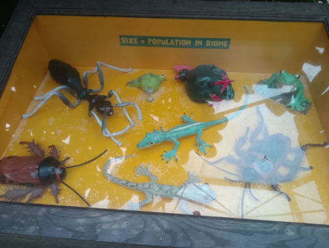 Eden Project