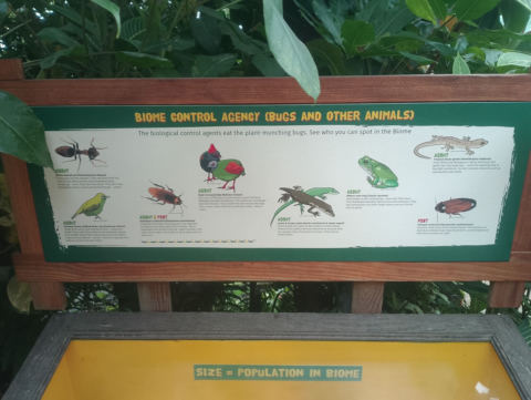 Eden Project