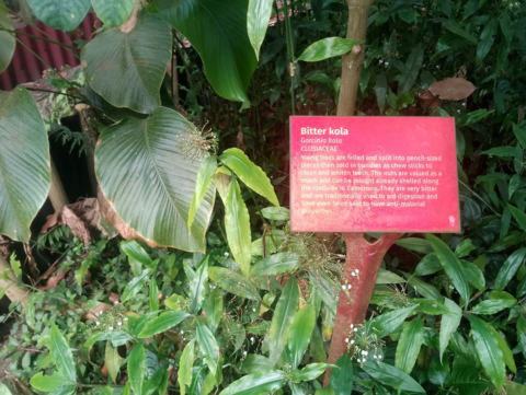 Eden Project