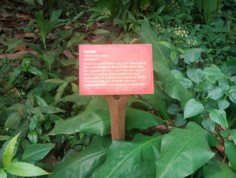Eden Project
