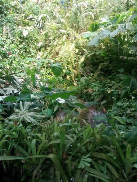 Eden Project
