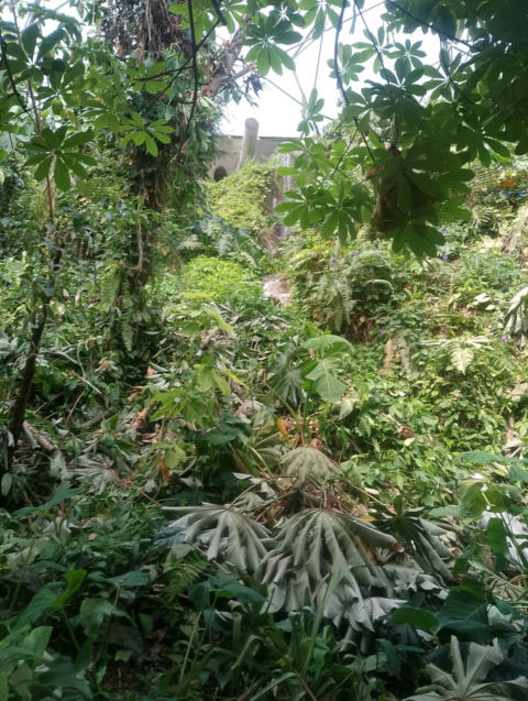 Eden Project