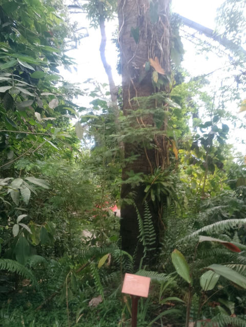 Eden Project