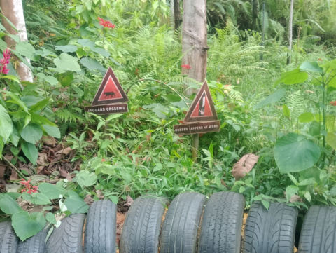 Eden Project