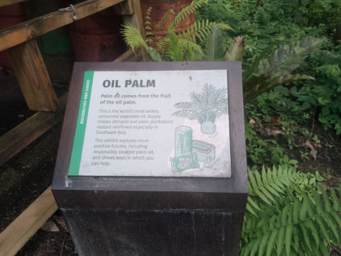 Eden Project