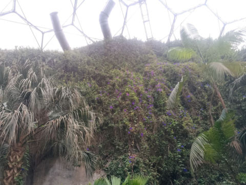 Eden Project