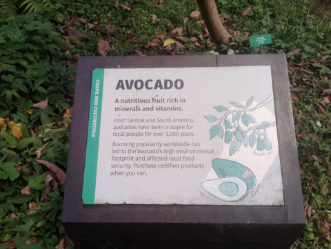 Eden Project