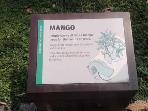 Eden Project