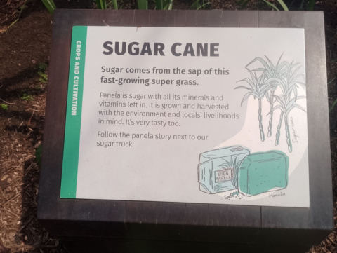 Eden Project