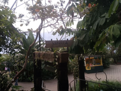 Eden Project