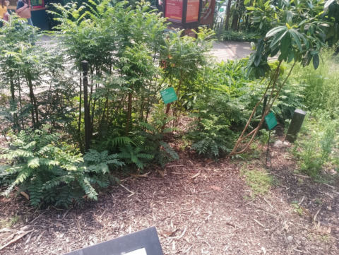 Eden Project