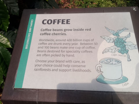 Eden Project