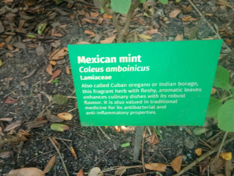 Eden Project