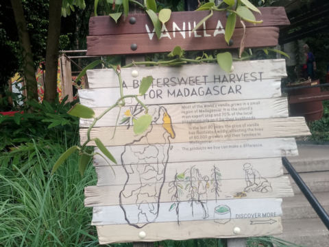Eden Project