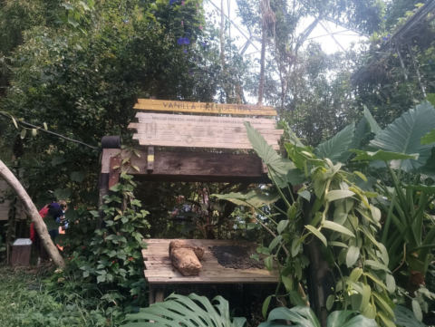 Eden Project