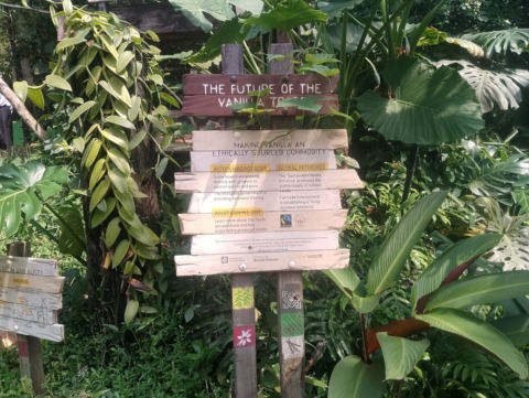 Eden Project