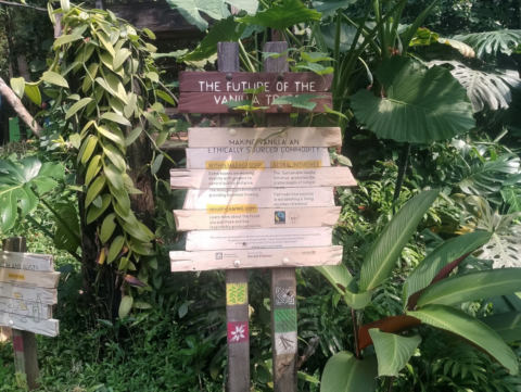 Eden Project