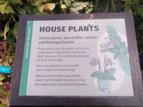 Eden Project