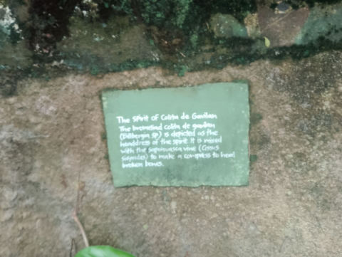 Eden Project