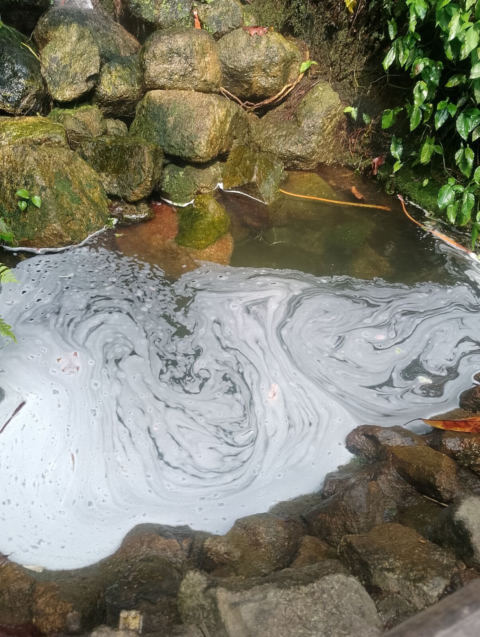 Eden Project