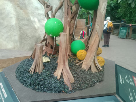 Eden Project