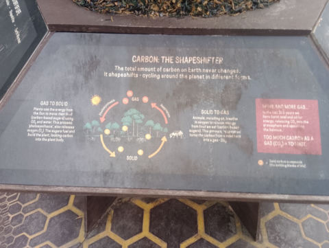 Eden Project