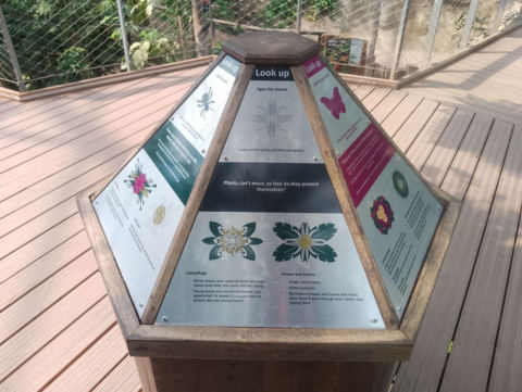 Eden Project