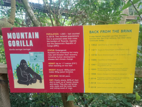 Eden Project