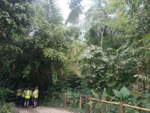 Eden Project