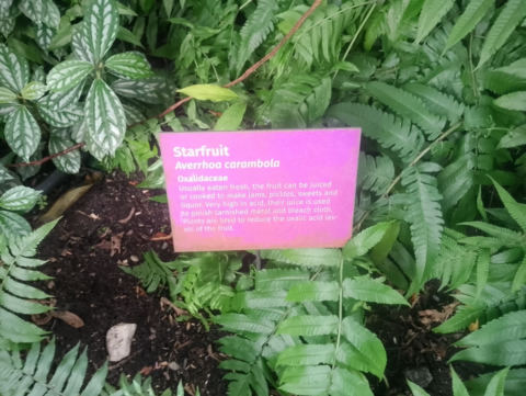 Eden Project