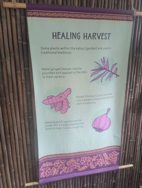 Eden Project
