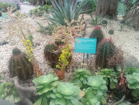 Eden Project