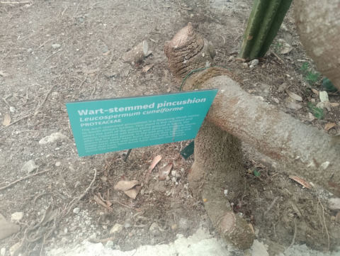 Eden Project