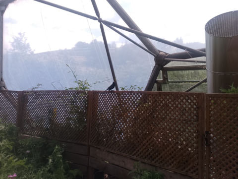 Eden Project