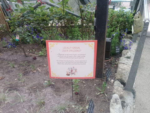 Eden Project